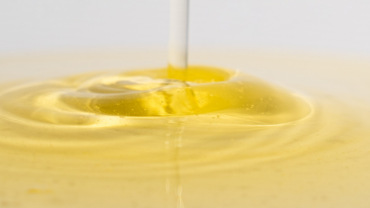 9 Tips for a Hydrated and Nourished Scalp