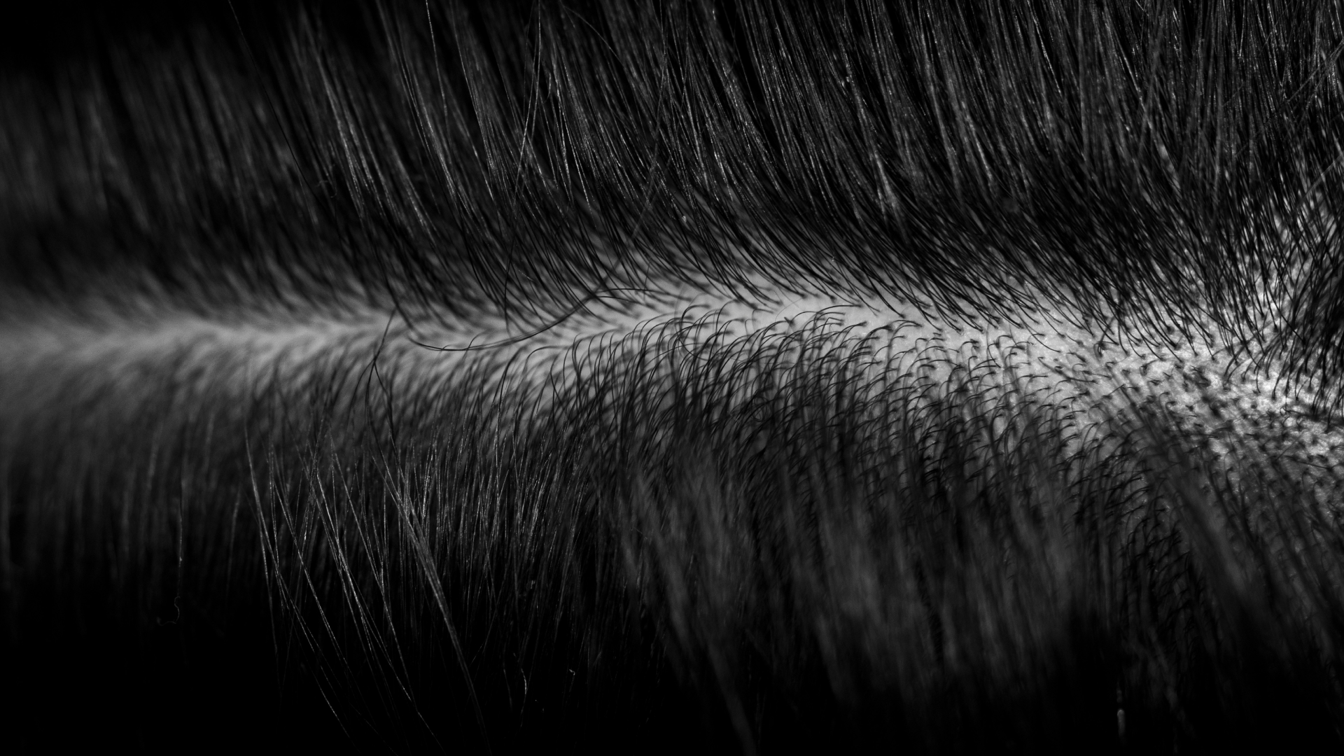 Scalp Care Guide and Benefits of a Good Scalp Care Routine